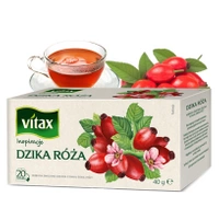 Dzika róża