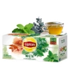 Mięta i eukaliptus Lipton herbata ziołowa 20 torebek
