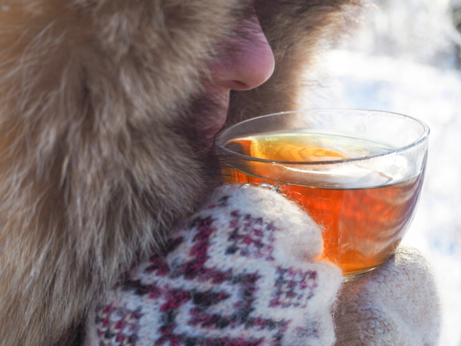 Irving Kolekcja herbat Merry Christmas 30 kopert