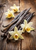 Miód Wanilia herbata Rooibos Loyd 20 torebek