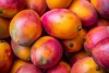 Big-Active Mango Bongo napój herbaciany o smaku mango 500ml