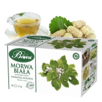 Morwa biała