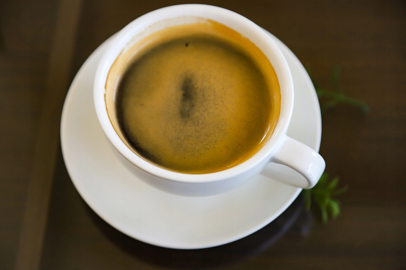 Segafredo Caffè Crema Gustoso kawa ziarnista palona 1kg