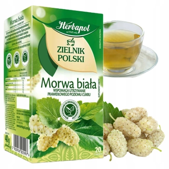 Morwa biała Herbapol herbata ziołowa 20 torebek