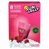 Lody malinowe do zamrożenia Sun Lolly 8 sztuk 520g