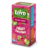 Loyd Malina Agrest herbata owocowa 20 torebek