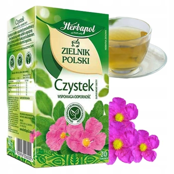 Czystek Herbapol herbata ziołowa 20 torebek