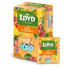 Loyd Jabłko Ananas herbata owocowa 15 torebek