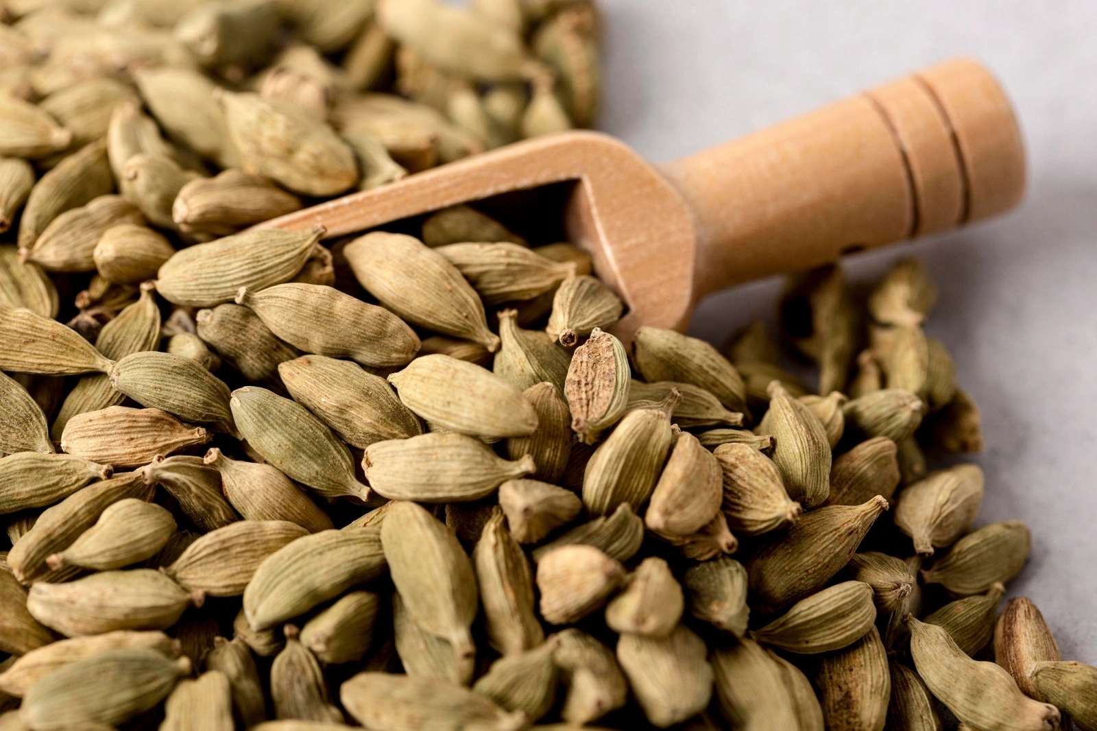 Ahmad Tea herbata zielona z kardamonem 100 torebek