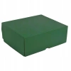 Karton fasonowy dwustronnie zielony na prezent 300x260x110mm