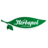 Imbir syrop Herbapol 420 ml