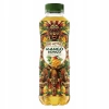 Big-Active Mango Bongo napój herbaciany o smaku mango 500ml